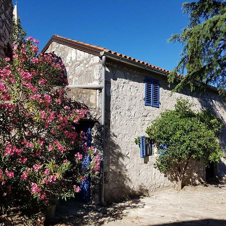 Villa The Istrian Vrsar Exterior foto